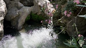 Natural river delta olive garden