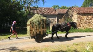 Ferme collective biologique en traction animale