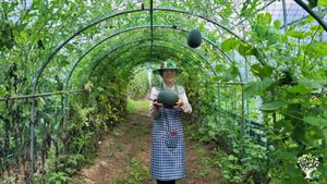 <GW128>잠시 내려놓고 초록색 쉼표를 찍고 가는 곳 / A Place to Pause, Put Things Down, and Leave a Green Comma