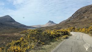 Croft