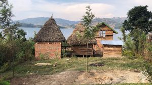 Organic self sustainable paradise in the kigezi mountains