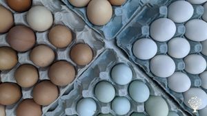 HOGWORTS GRADUATE WANTED: Busy family farm seeking happygolucky help with bees, goats, hens & more!