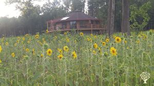 32 acre hobby farm focused on self sustaining farming methods in North Carolina