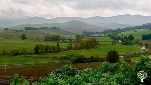 Fattoria di famiglia - Per noi è sempre un piacere, accogliere e condividere!