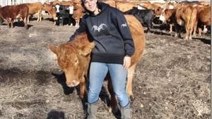 Cattle Ranch