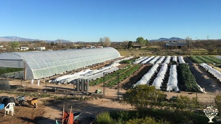 Small organic vegetable farm near Benson, AZ - WWOOF USA