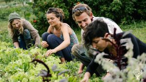 Organic CSA market garden in the Teign Valley