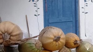 Kadın Emeği Tarım