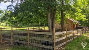 Homestead with chickens, firewood, property work