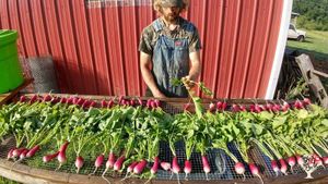 Ecoganic fruit/flower/vegetable farm training new farmers & feeding our community 👩‍🌾❤🍅