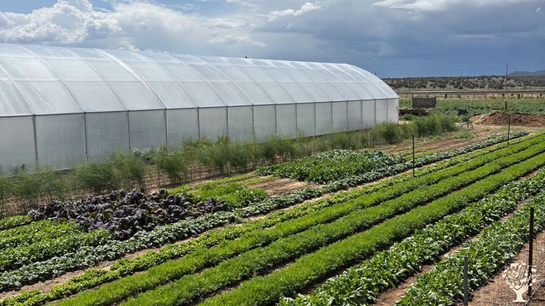 10 acre, all-natural farm with 3/4 acre under production in high desert ...