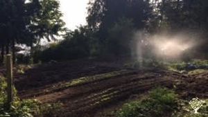 Market Garden, Family farm