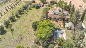 Permaculture farm, food forest in the making, kombucha brewing