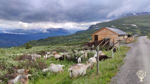 Bakkestølen. The summer farm
