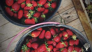 Strawberry details.
Detalhes