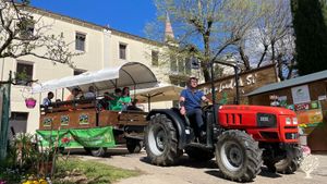 La nostra fattoria si trova all'interno delle mura di un convento. Orticole e animali vari.