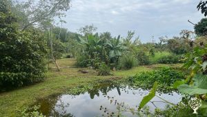 Ferme holistique visant l'auto-suffisance. Finca holística orientada a la autosuficiencia.
