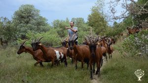 Ferme caprine bio située dans la vallée de l'Ibie en sud Ardèche
