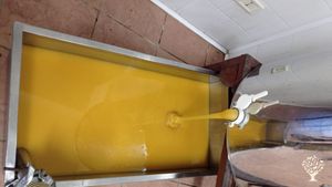 Sono Samuel, ho 27 anni e ho ripreso l'azienda apistica di famiglia,