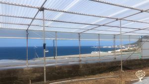 Ferme écologiques d'arbres fruitiers et légumes