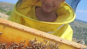 Beekeeping on the island
