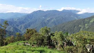 the original sheppards cabin is tucked into the banana orchard
