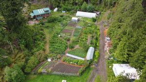 Remote island family homestead and large garden