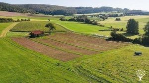Small farm producing vegetables, fruits and raising chicken