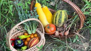 a recent harvest from the garden! 