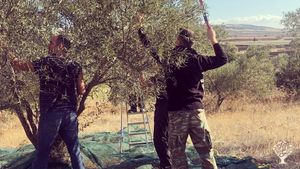 Cooparation , culture,  farming life , village project