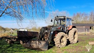 Sustainable and ethical farm in Hampton Gay on the edge of Oxford
