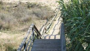 Communal Living Group