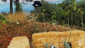 Sürdürülebilir ve Farkındalıklı Yaşam Çiftliği