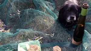 Organic farm in Eastern Crete