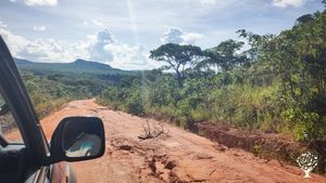 Agroforestry in existing miombo woodland