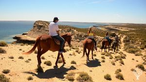Granja productora de lana merino ecologica y turismo sustentable