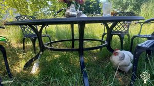 Family home and garden - rural, Agritourism Destination, Livestock Farm, Orchard