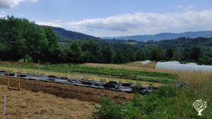 Ferme collective paysanne diversifiée et militante