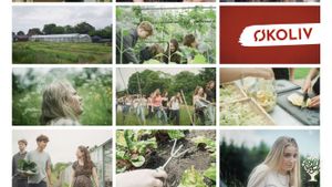 Organic vegetable production on alternative bording school