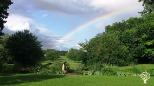 Orchard, Woodlot, Family farm