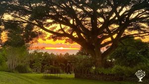 Farm-to-table cafe and community gathering place near Hilo