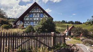 Ressourcen Autarkes Weingut mit Wald und Wiesen in der Vorbergzone des Schwarzwalds
