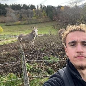 Romain
