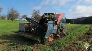 Gemeinschaftlicher Demeterhof  im Schwarzwald