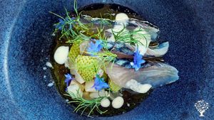 A starter from our restaurant menu with ingredients from our farm and other local farmers