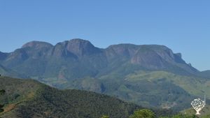 Cerfiticated organic food production, agroforestry and medicinal plants