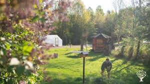 Smallholding and market garden for vegetable lovers
