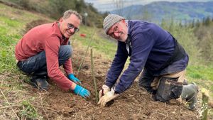 Granja de flores y bosque comestible / Flower farm and food forest