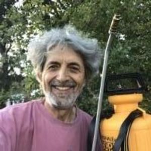 Vincenzo