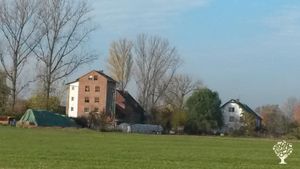 Mixed Farm, Family farm, Apiary